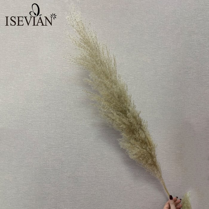 ISEVIAN Wedding Arch Dried Pampas Flower Wedding Decor Flower Centerpiece Feather Grass Dried Flowers