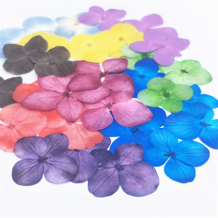 Hydrangea Dry Flower DIY Embossing Petal Pompom Flowers Flores Artificial Plants Wedding Favors And Gifts Decoration Home
