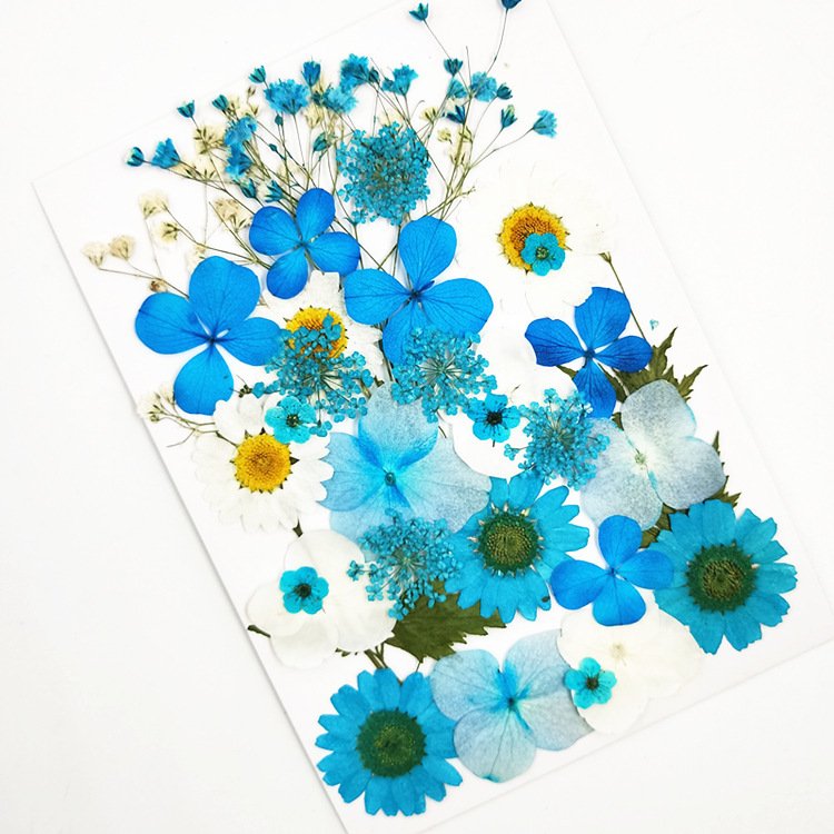 Hydrangea Dry Flower DIY Embossing Petal Pompom Flowers Flores Artificial Plants Wedding Favors And Gifts Decoration Home