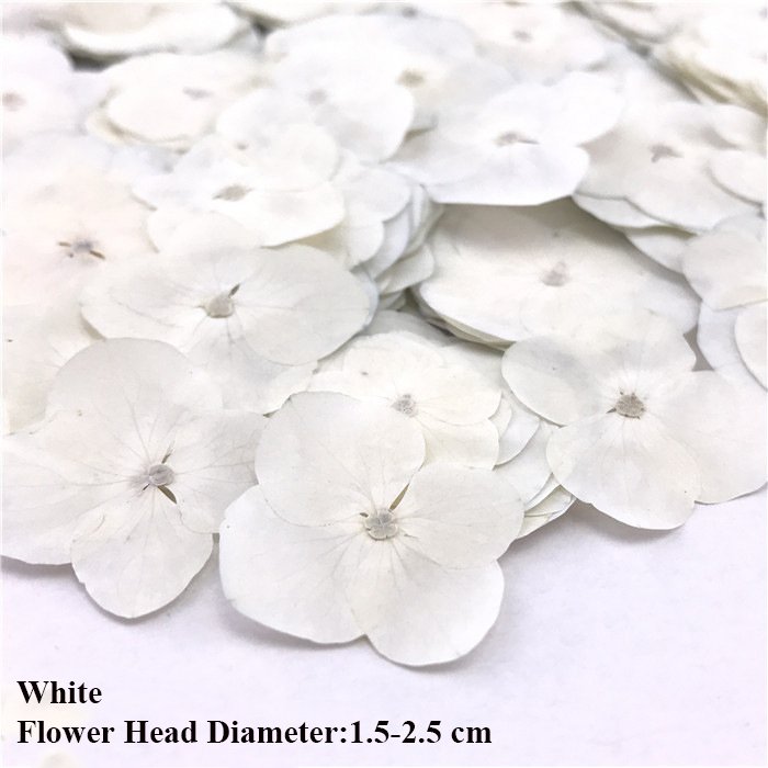 Hydrangea Dry Flower DIY Embossing Petal Pompom Flowers Flores Artificial Plants Wedding Favors And Gifts Decoration Home