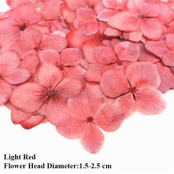 Hydrangea Dry Flower DIY Embossing Petal Pompom Flowers Flores Artificial Plants Wedding Favors And Gifts Decoration Home