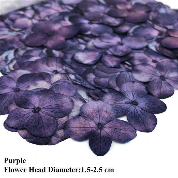 Hydrangea Dry Flower DIY Embossing Petal Pompom Flowers Flores Artificial Plants Wedding Favors And Gifts Decoration Home