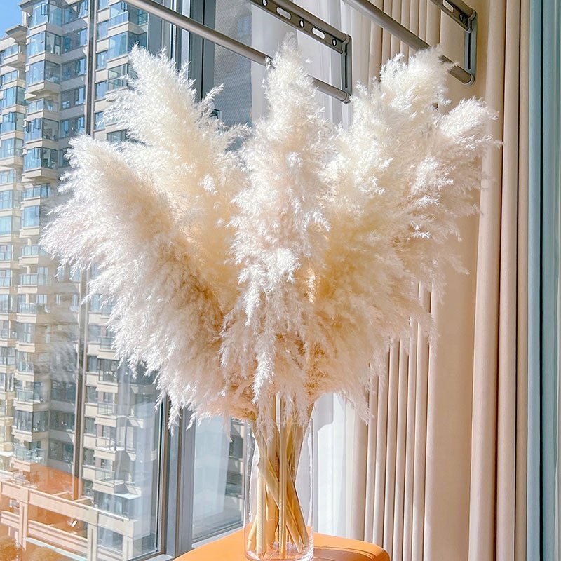 Natural Pampas Grass Decor Weddings Boho Home Halloween Graduation Easter-Tall Pompas Grass Decorative Purposes