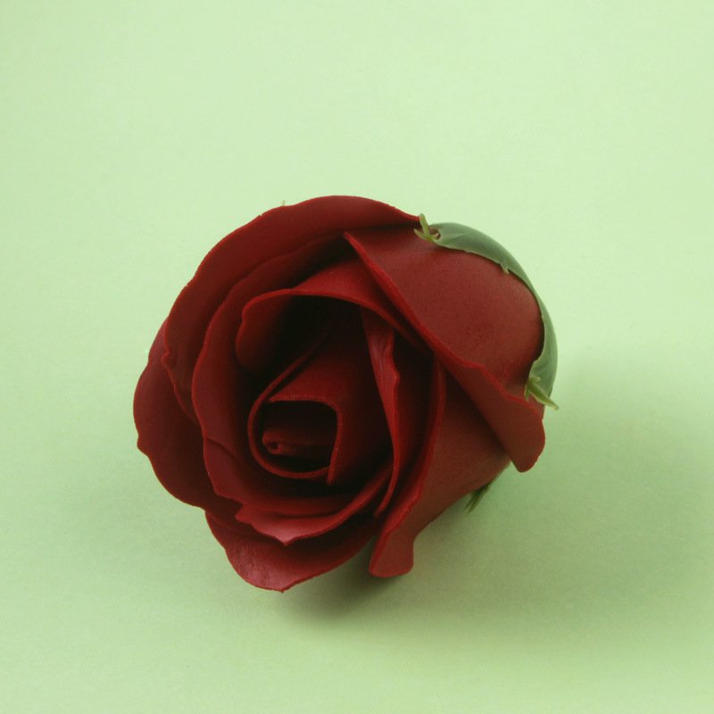Dried flower decoration wedding 50 flowers a box 3 layers soap rose flower head
