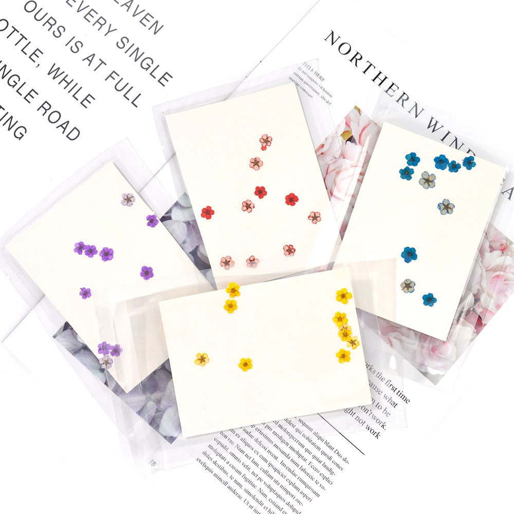 DM169 Factory Supply DIY Dried Flower Small Star Embossed Pressed Dry Flower Package For Resin Jewelry Craft Nail Art Decorative