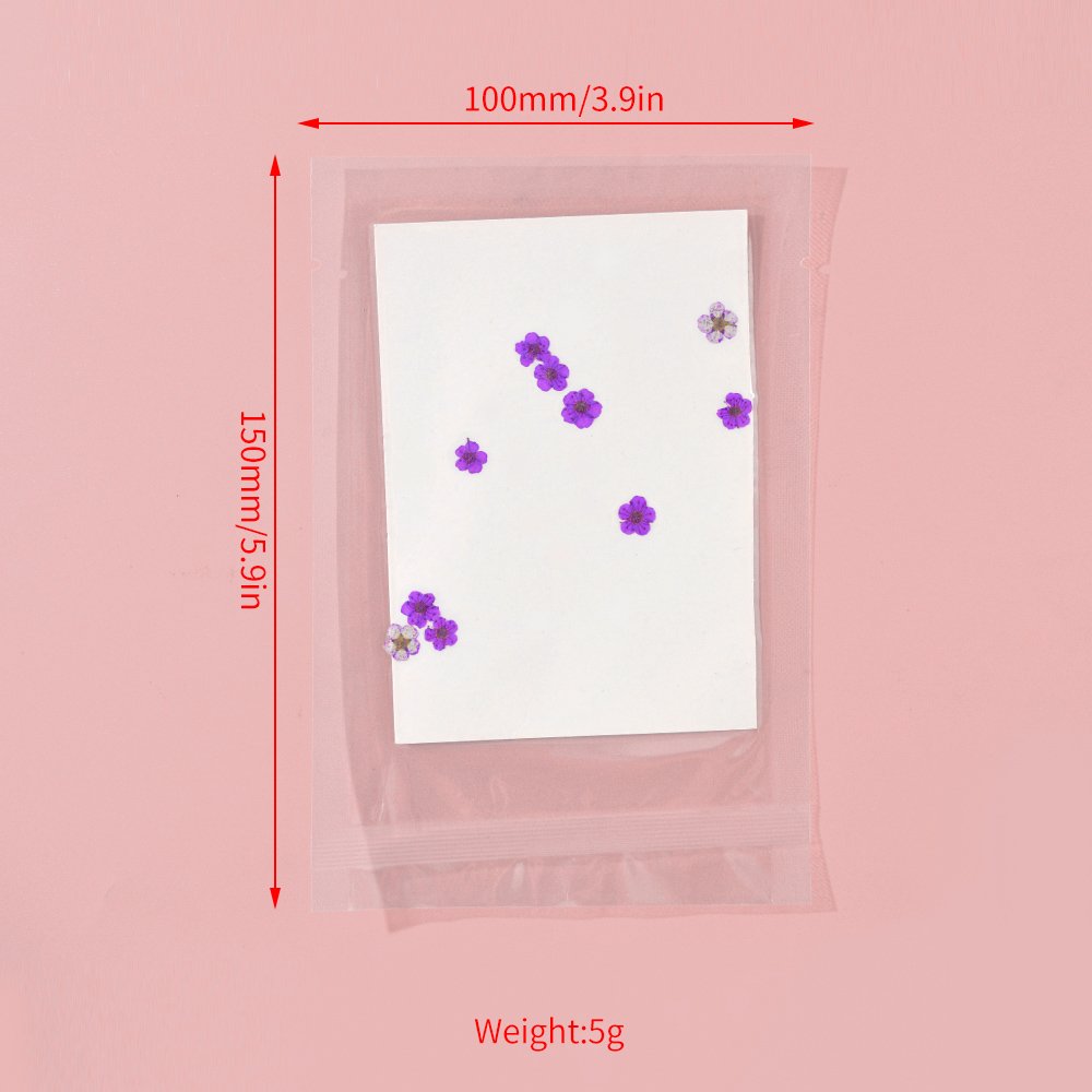 DM169 Factory Supply DIY Dried Flower Small Star Embossed Pressed Dry Flower Package For Resin Jewelry Craft Nail Art Decorative