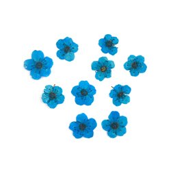 10#