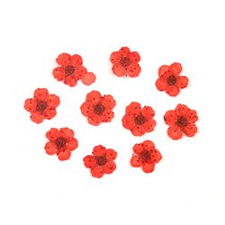 5#