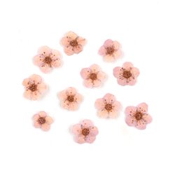 6#