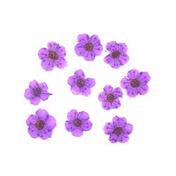 7#