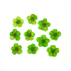 8#