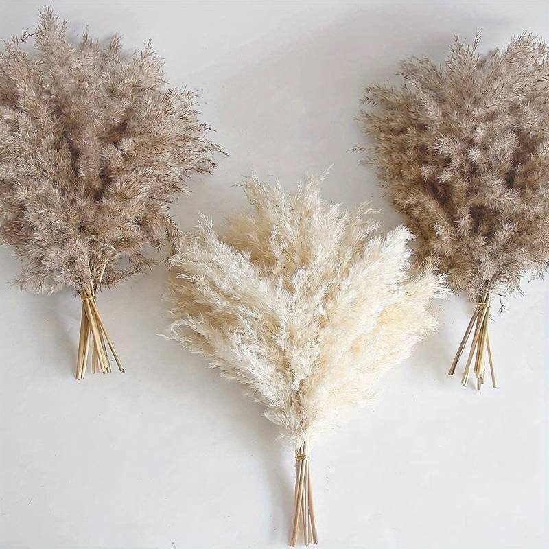 White Pampas Grass Bunch Festival Christmas Ornaments Wedding Fluffy Dried Bundle Real Natural Wild Luxury Pampas