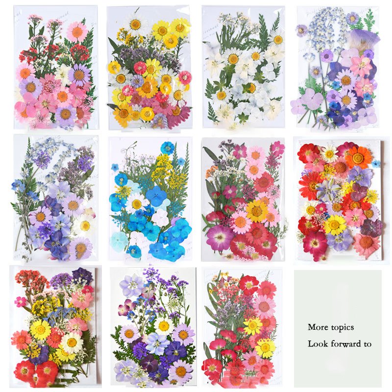 AX55 2021 Dry flower Materials DIY Makeup nail phone jewelry dry resin dried pressed flowers