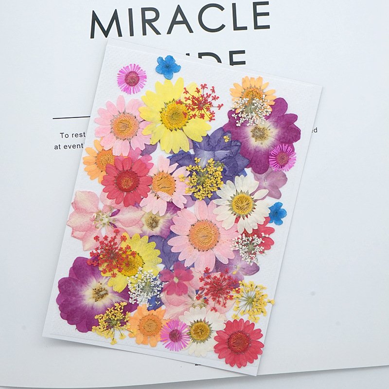 AX55 2021 Dry flower Materials DIY Makeup nail phone jewelry dry resin dried pressed flowers