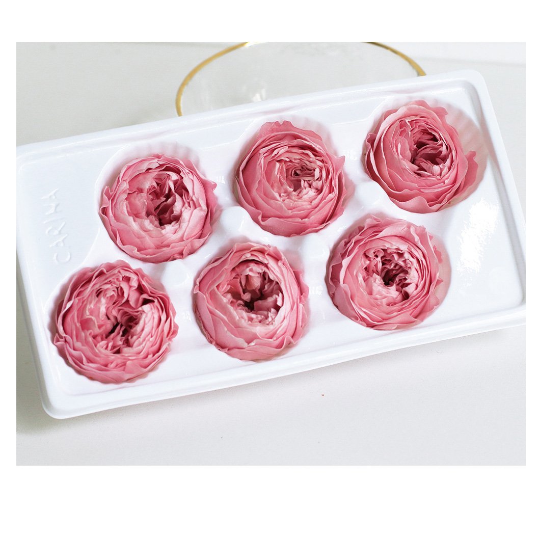 Wholesale High quality A Grade eternal rose preserved flower fresh cut preserved roses everlasting roses flowers