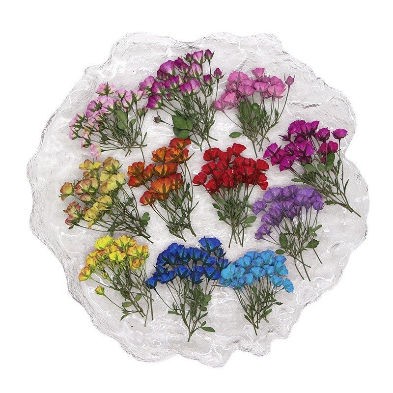 wholesale dry DIY material natural Dried pressed rose flowers for resin Nail Art Phone Case Postcard candle making decoration