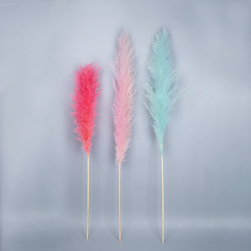 Wholesale Natural Dried Flowers Small Natural Pampas Grass 40~50cm Pampas Grass Wedding Decor Pampas Bouquet