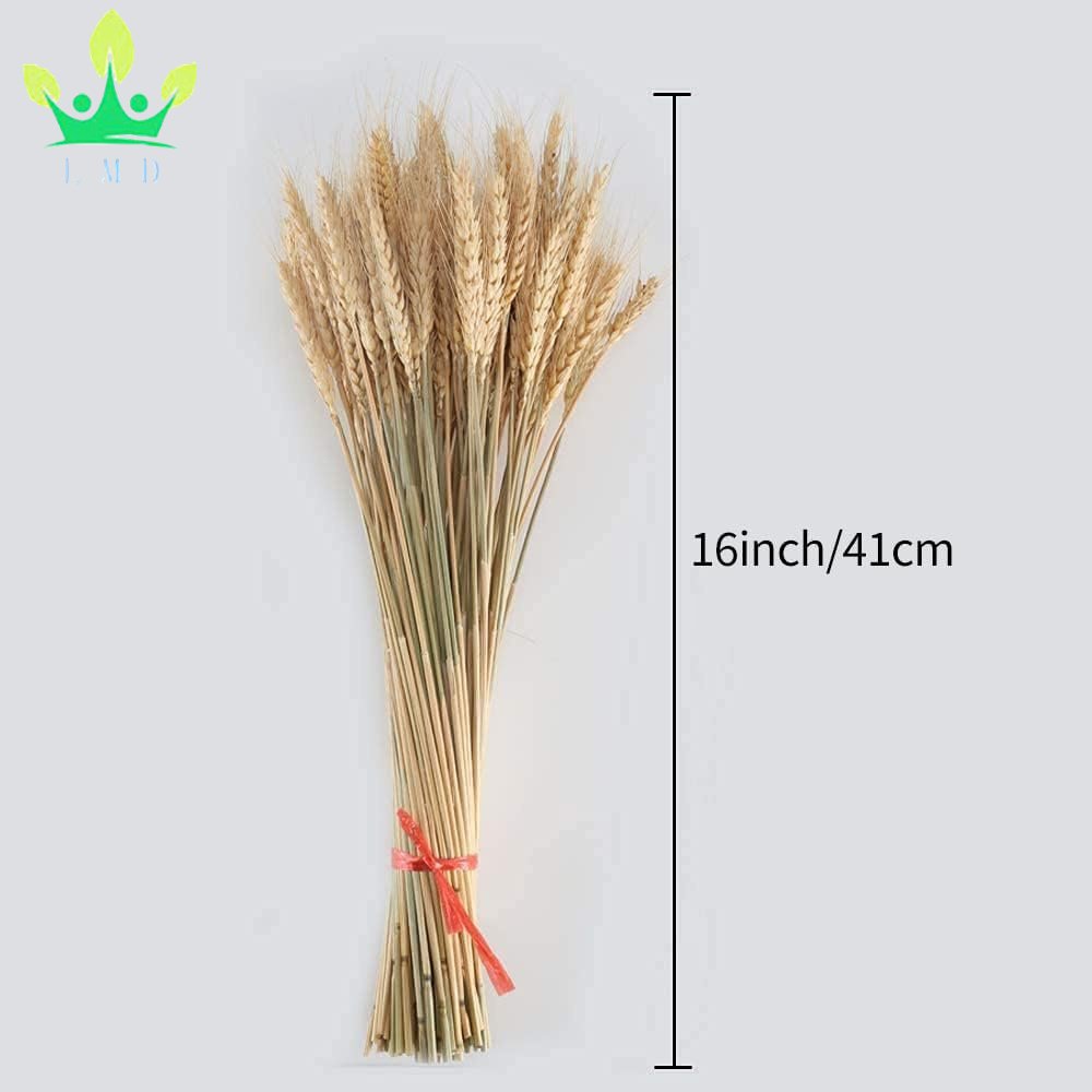 100 Pcs Dried Wheat Sheave Bundle Golden Natural Wheat Bouquet Bunch Dried Flower for Summer Farmhouse Table Wedding Party Decor