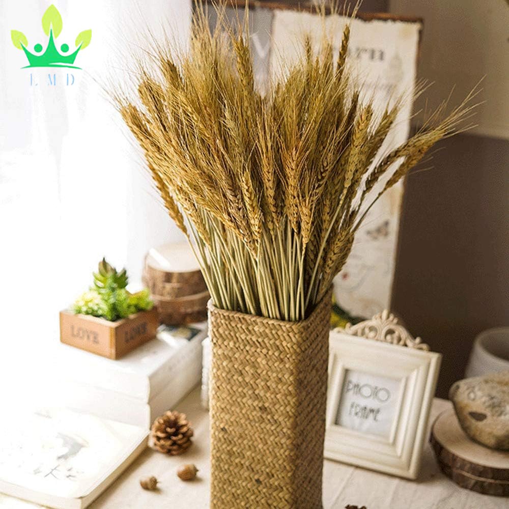 100 Pcs Dried Wheat Sheave Bundle Golden Natural Wheat Bouquet Bunch Dried Flower for Summer Farmhouse Table Wedding Party Decor
