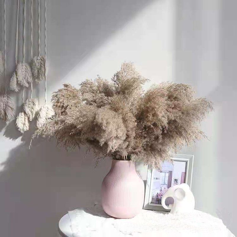 Delicate Home Vase Decoration Multiple Colors Natural Dried Small Pampas Grass For Wedding Indoor Party Decoration