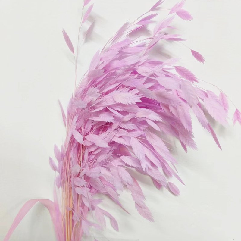 Wholesale Dried Flowers Xiaopan Grass Natural Fresh Flowers And Plants Decor Flower Arrangement