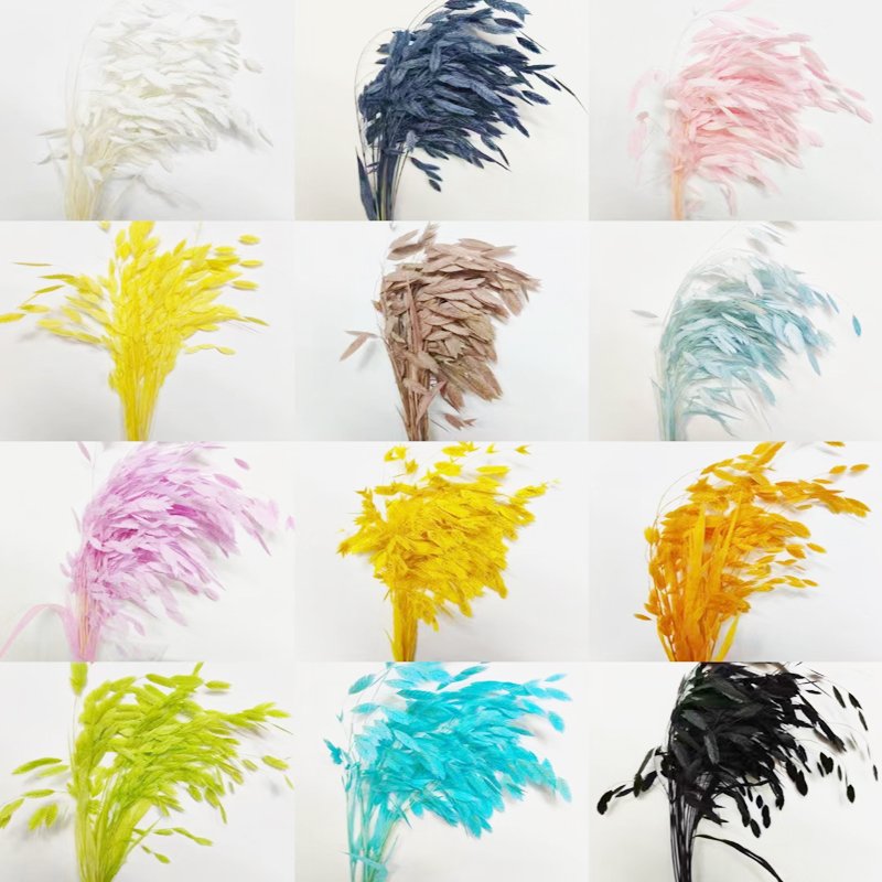 Wholesale Dried Flowers Xiaopan Grass Natural Fresh Flowers And Plants Decor Flower Arrangement