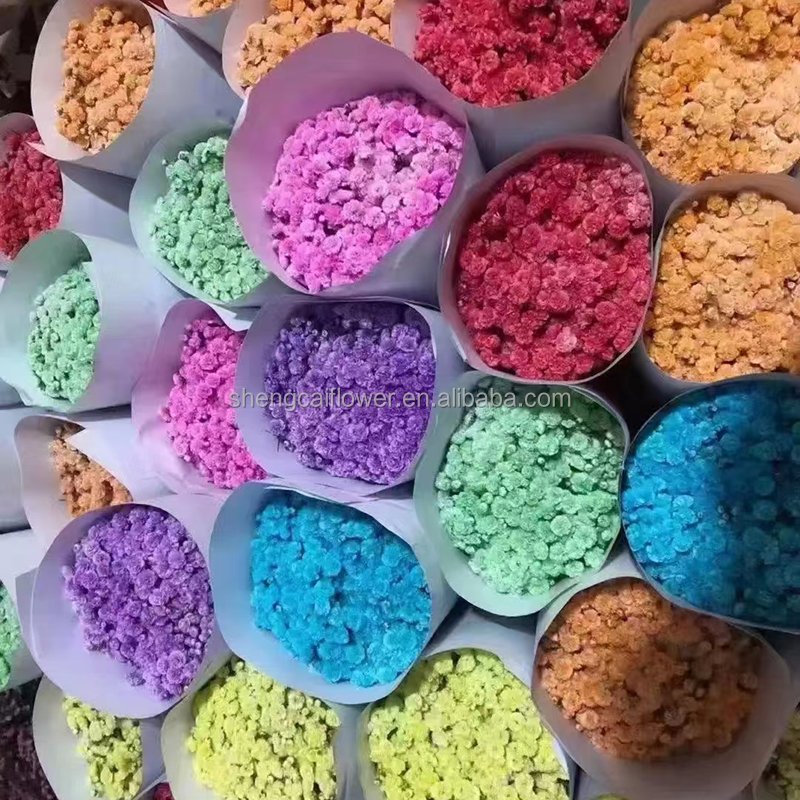 Cake decoration Flowers Bulk diy Mini Bouquets gypsophila Paniculata dried Floral Arrangements Flower Decor dried Flower Bouquet