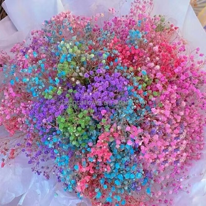 Cake decoration Flowers Bulk diy Mini Bouquets gypsophila Paniculata dried Floral Arrangements Flower Decor dried Flower Bouquet