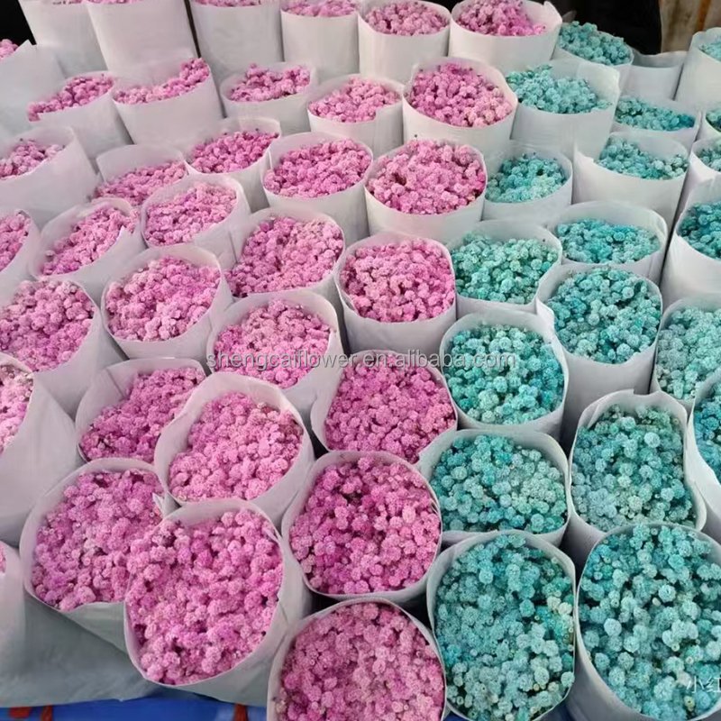 Cake decoration Flowers Bulk diy Mini Bouquets gypsophila Paniculata dried Floral Arrangements Flower Decor dried Flower Bouquet
