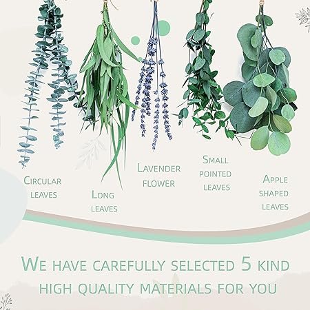 17'' Real Fresh Hanging Silver Dollar Leaves 115PCS Large Dried Preserved Eucalyptus Stems & Lavender Flowers Bundle for Shower