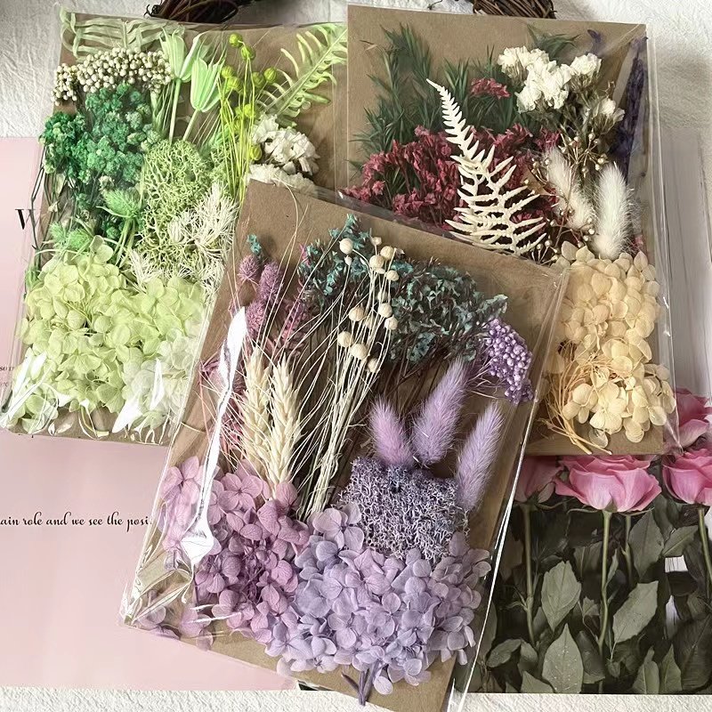 Natural Plant Handmade Craft Flowers Preserved Hydrangea DIY Dried Flowers for Sale