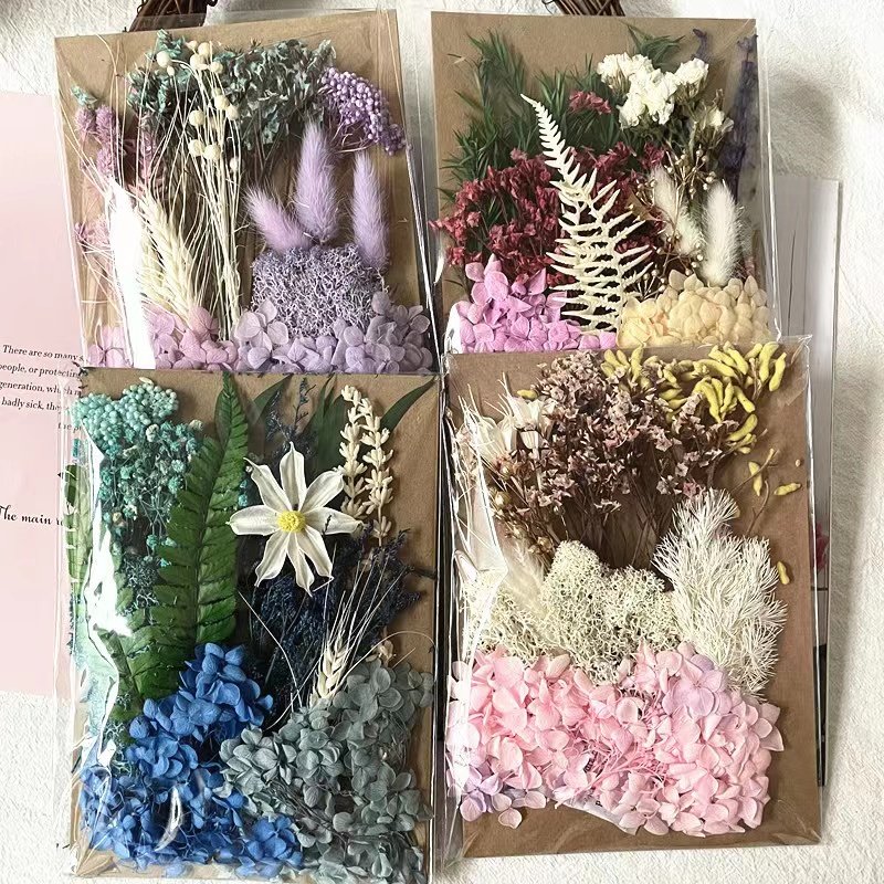 Natural Plant Handmade Craft Flowers Preserved Hydrangea DIY Dried Flowers for Sale