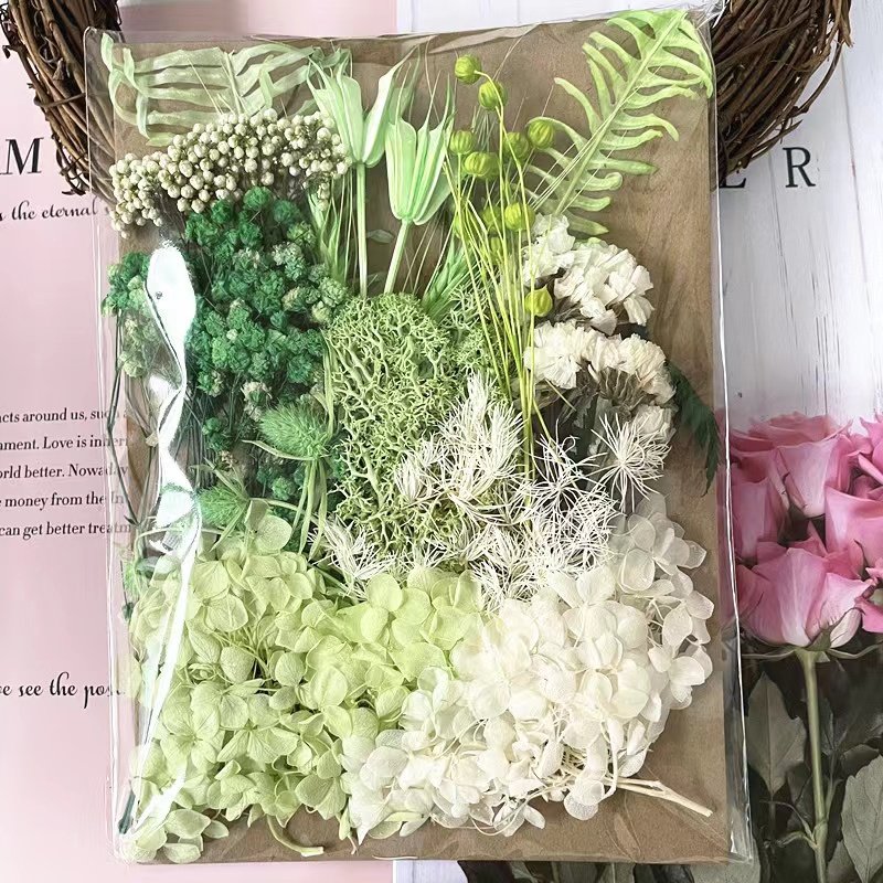 Natural Plant Handmade Craft Flowers Preserved Hydrangea DIY Dried Flowers for Sale