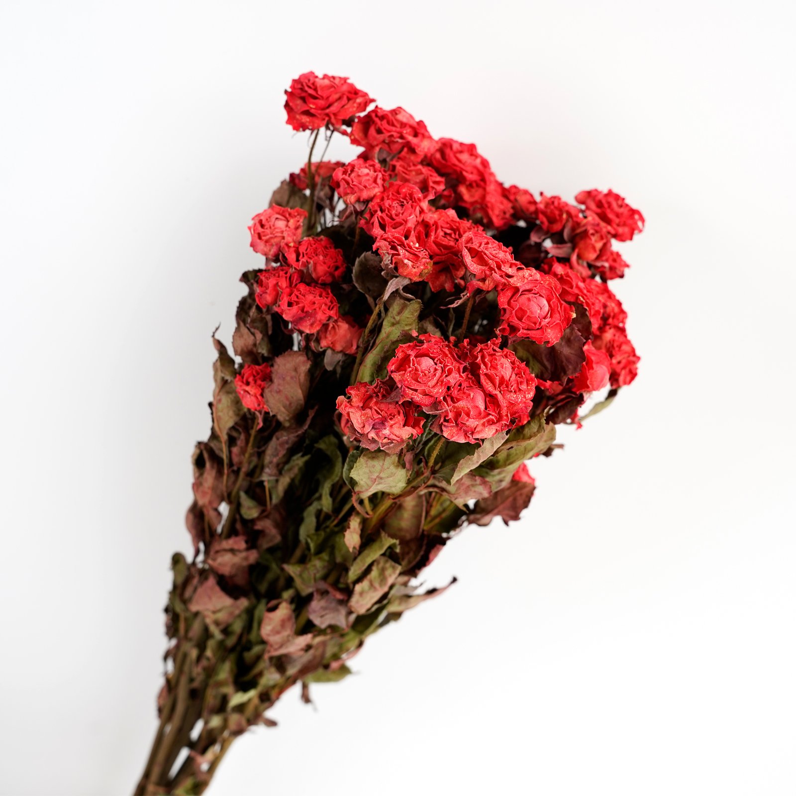 Natural Dried Flower Bouquet Dried Roses For Wedding Table Vase Decor Boho DIY Wreath Floral Home Office Party Garden Decoration