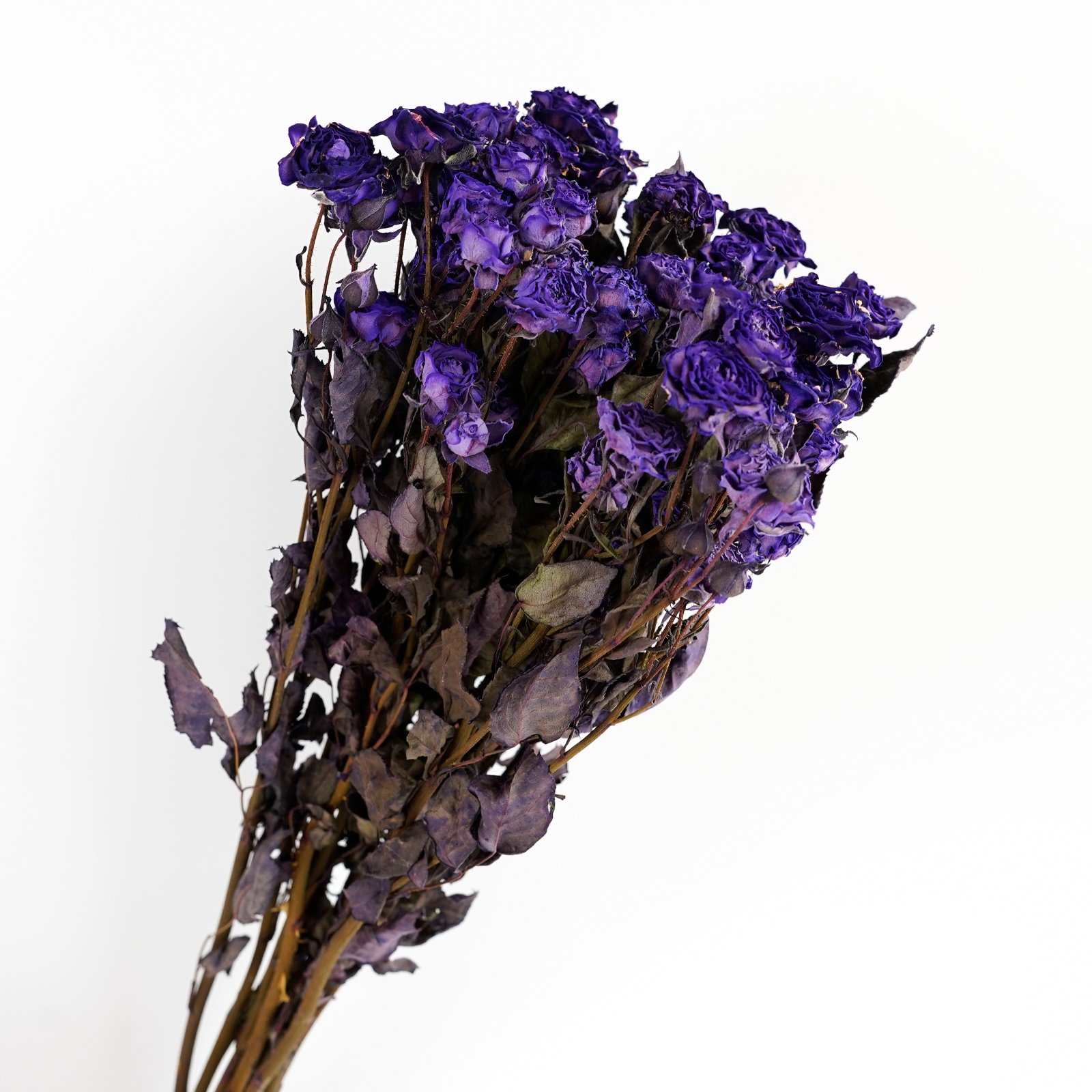 Natural Dried Flower Bouquet Dried Roses For Wedding Table Vase Decor Boho DIY Wreath Floral Home Office Party Garden Decoration