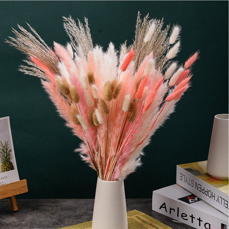 Decorative flowers Bohemian style Lagurus ovatus Hare tail grass Preserved flowers for bouquets Handmade DIY dried flowers