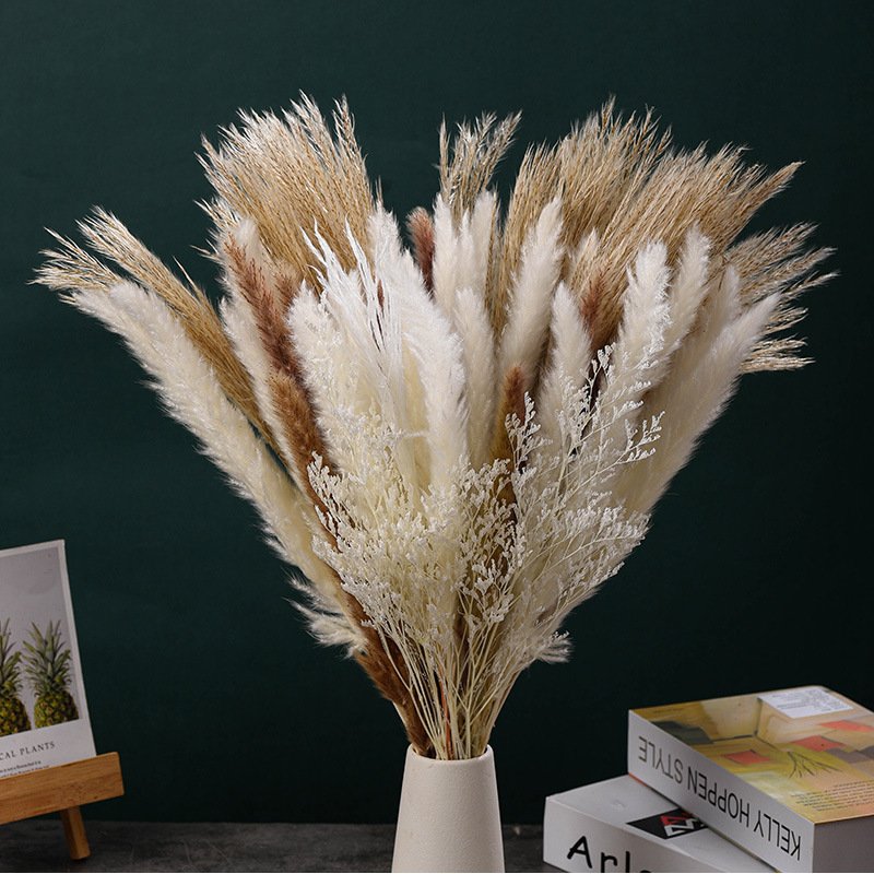 Decorative flowers Bohemian style Lagurus ovatus Hare tail grass Preserved flowers for bouquets Handmade DIY dried flowers