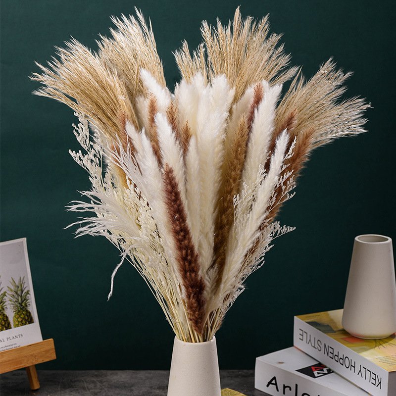 Decorative flowers Bohemian style Lagurus ovatus Hare tail grass Preserved flowers for bouquets Handmade DIY dried flowers