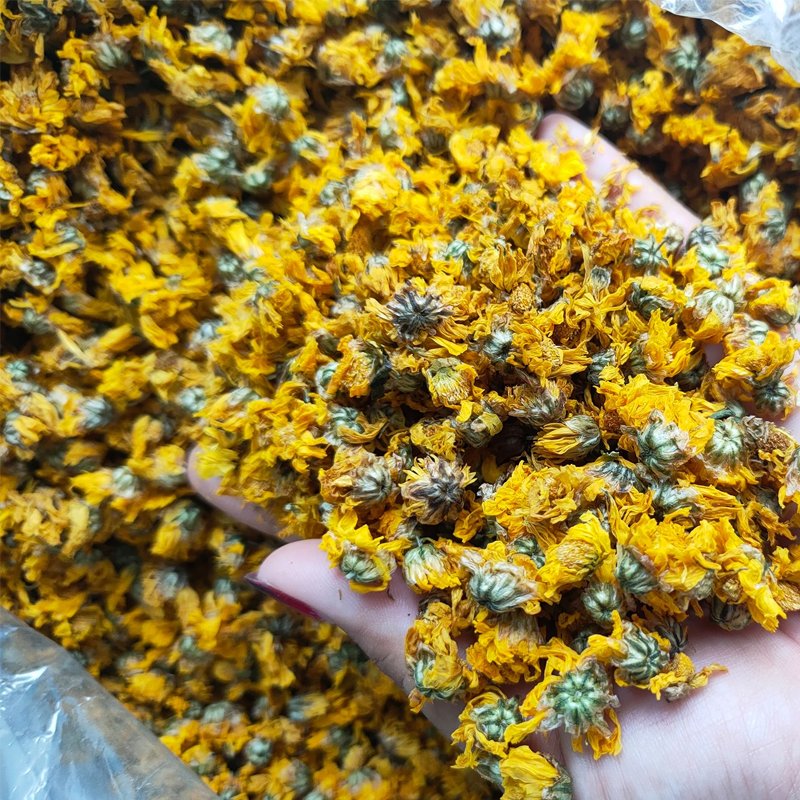Wholesale Dried Chrysanthemum Flower Freshly Processed Dried Flowers
