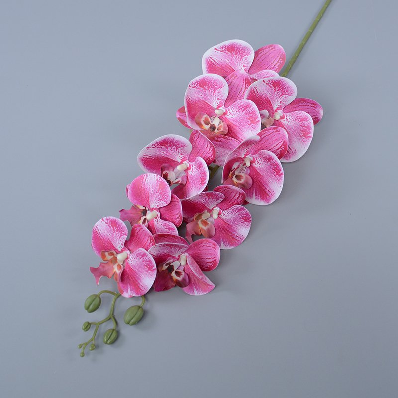 Wholesale 9 Heads 3D Printing Artificial Phalaenopsis Butterfly Orchid Real Touch Orchids Wedding Decorative Flowers