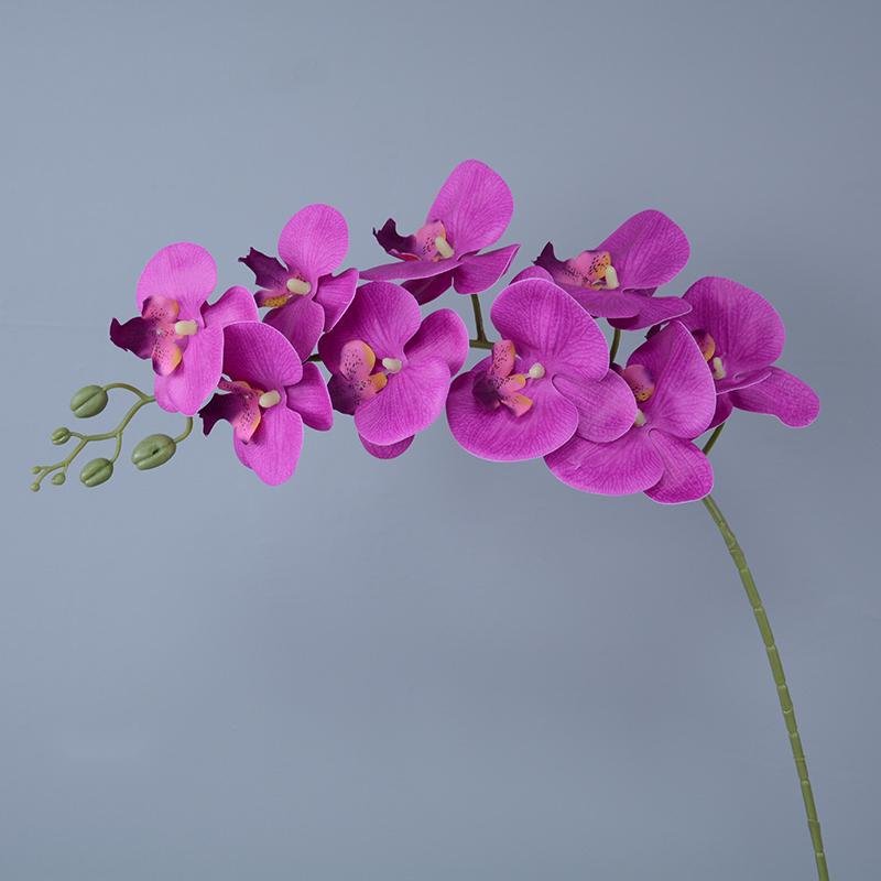 Wholesale 9 Heads 3D Printing Artificial Phalaenopsis Butterfly Orchid Real Touch Orchids Wedding Decorative Flowers