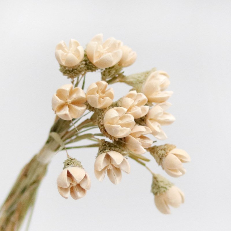 wholesale Dried Gem Orchid Handmade Daisy Flower Home Decor Artificial Flower Decorative Daisy Small Jewel Orchids Flower