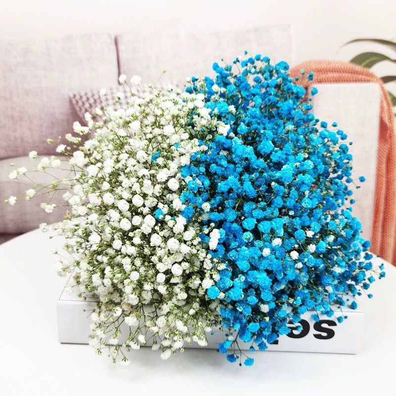 Hot Selling White Color Baby Breath Flower Natural Dried Gypsophila for Wedding Home Decoration