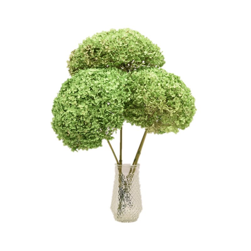 anna hydrangea bush purple stabilized big leaf hydrangea head for home decoration