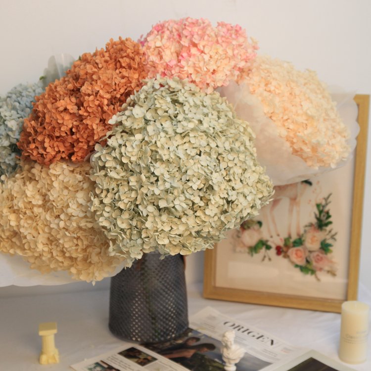 anna hydrangea bush purple stabilized big leaf hydrangea head for home decoration
