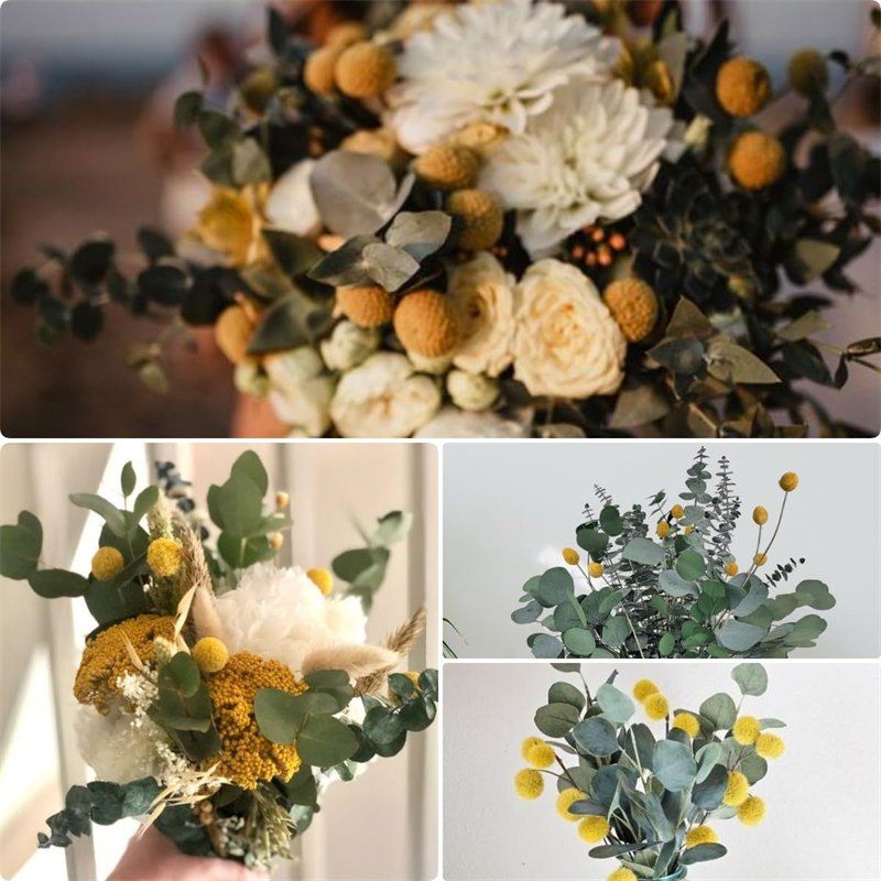 2023 A Grade Natural Preserved Eucalyptus Mix Bouquet, 16" Real Eucalyptus Stems with Dried Billy Balls & Yellow Millet Flowers