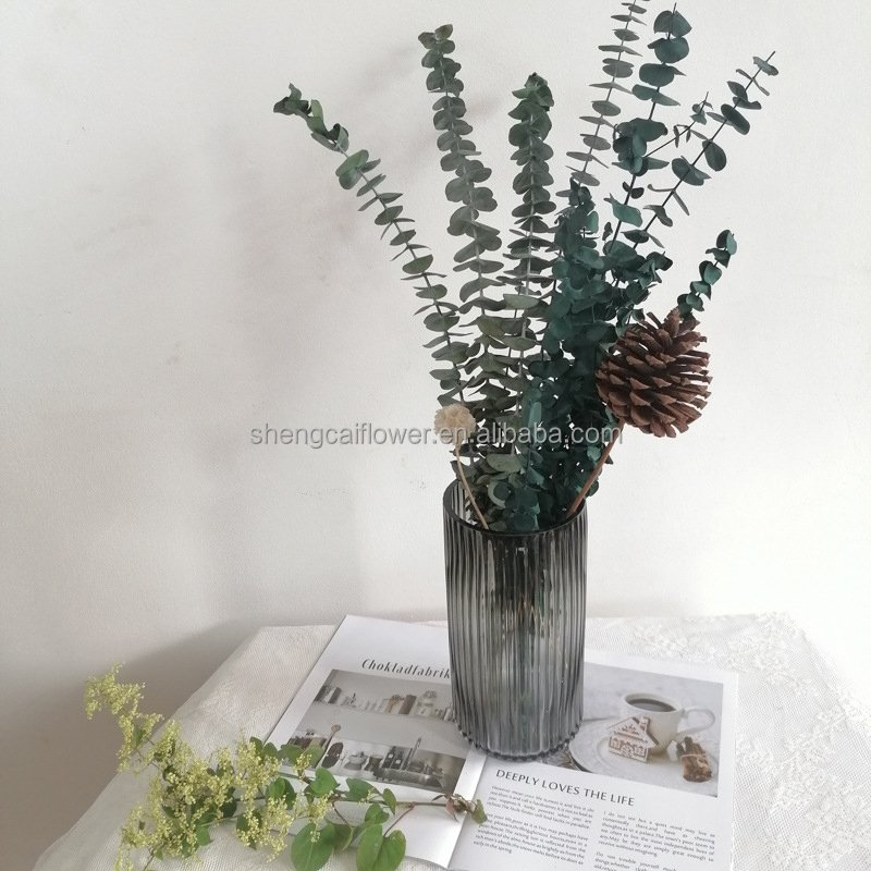 2024 Hot sale eucalyptus leaves dried eucalyptus stems bouquets decorated with preserved eucalyptus leaves