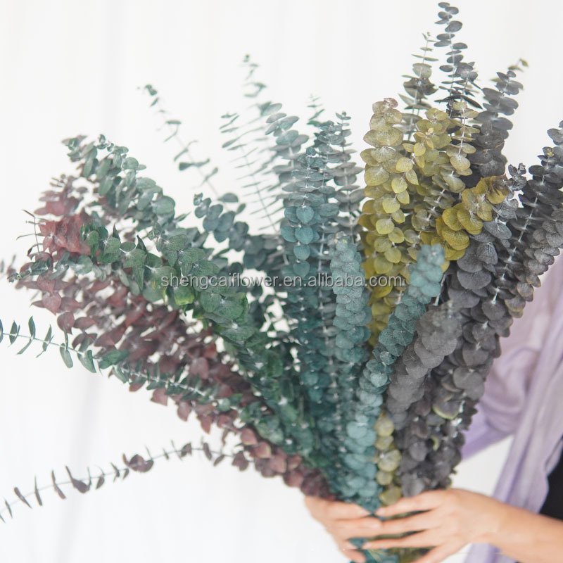 2024 Hot sale eucalyptus leaves dried eucalyptus stems bouquets decorated with preserved eucalyptus leaves
