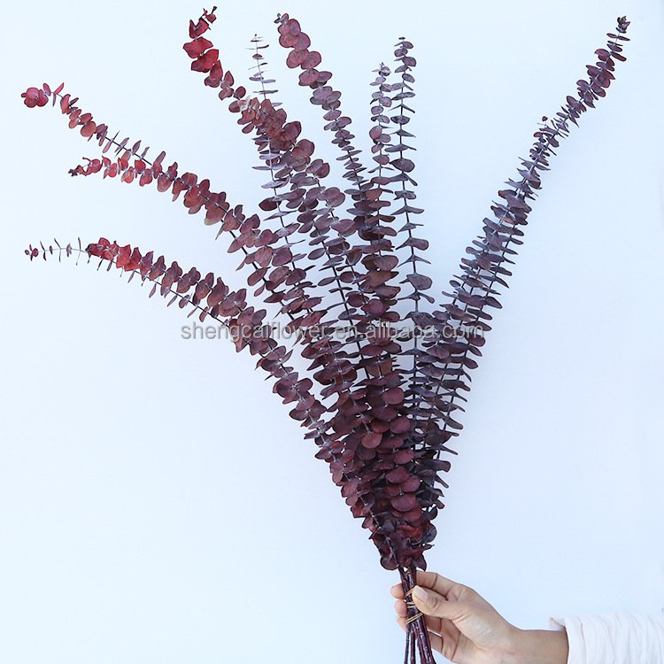 2024 Hot sale eucalyptus leaves dried eucalyptus stems bouquets decorated with preserved eucalyptus leaves
