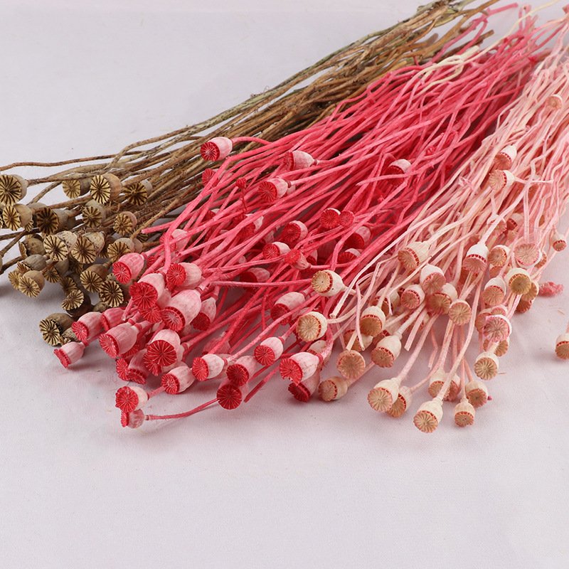Hot Sale Dried Flower Arrangement Preserved Corn Poppy With Stem For Home Decor